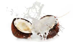 Coconut water  - Brazilian Fruits Exports